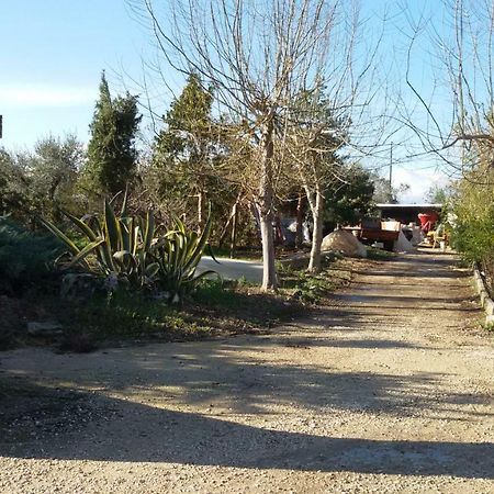 Fattoria Zitumasse Guest House Crecchio Exterior photo