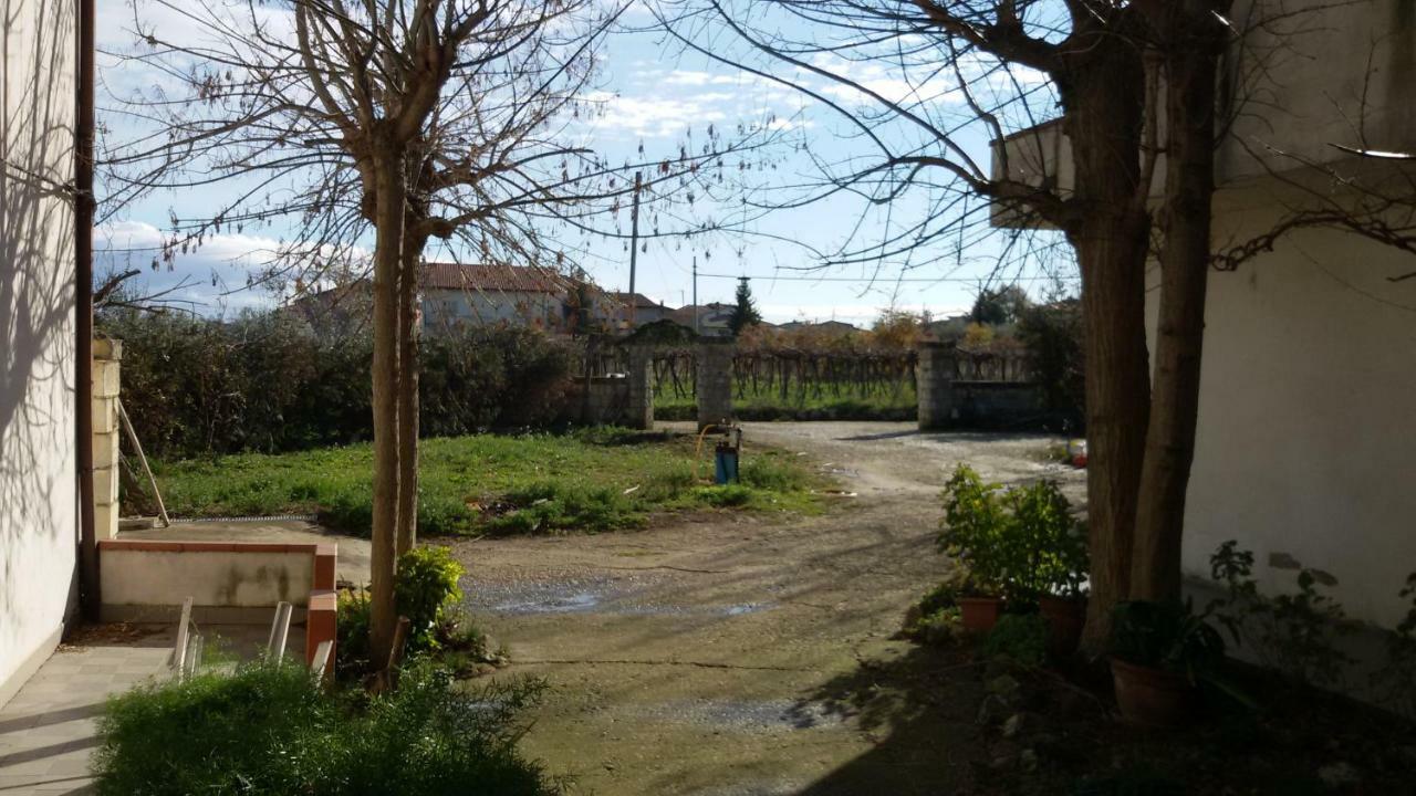 Fattoria Zitumasse Guest House Crecchio Exterior photo